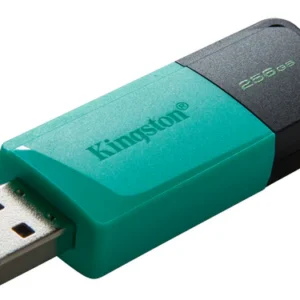 Pendrive Kingston Exodia M 256Gb Usb 3.2 Preto E Verde