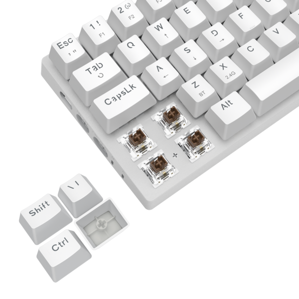 Teclado T-Dagger Arena Pro Branco Switch Marrom — detalhe dos switches marrons